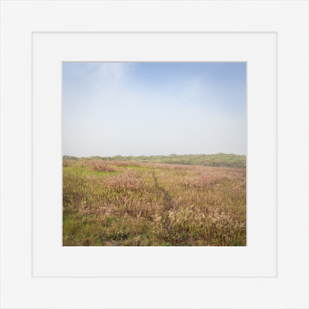 Heathland Hush