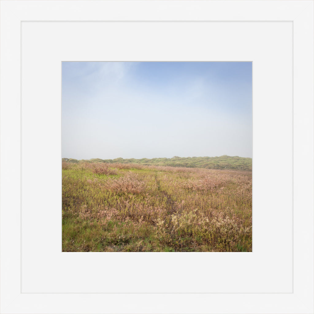 Heathland Hush