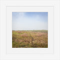 Heathland Hush