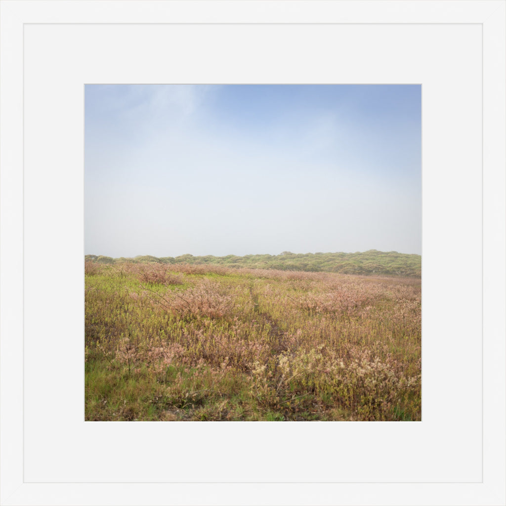 Heathland Hush