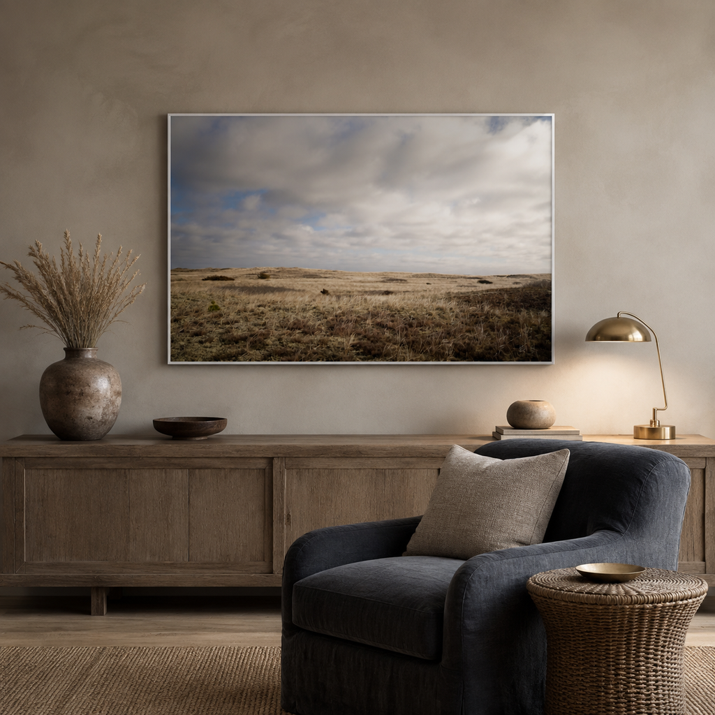Dune Meadow