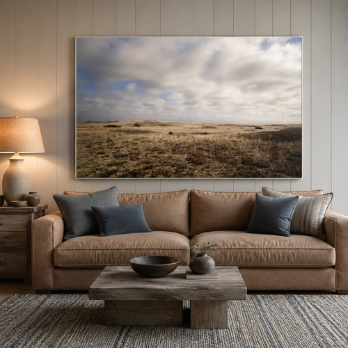 Dune Meadow
