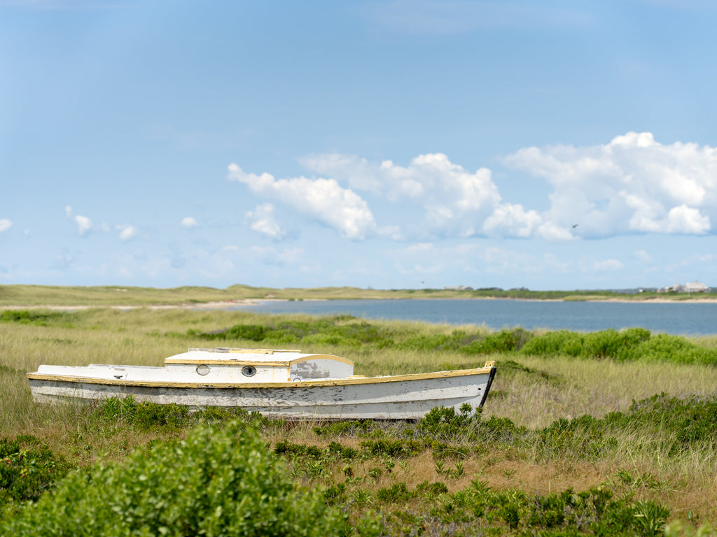 Fred's Backyard